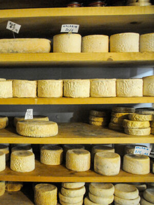Käse