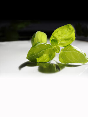 Pesto / Aufstriche / Soßen